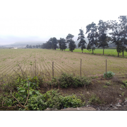 Terreno en Chancay 50 Ha...